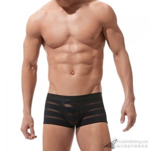 Quần lót nam Gregg Homme 160605 Encore+ Trunk Black Quần lót nam Gregg Homme 160605 Encore+ Trunk Black
